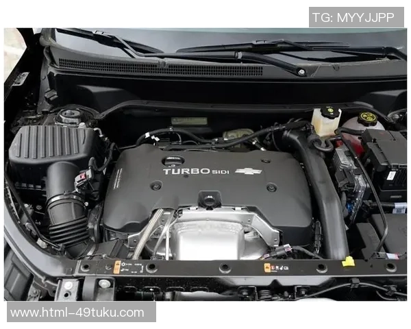 山猫队与湖人队激战正酣谁能在这场对决中笑到最后